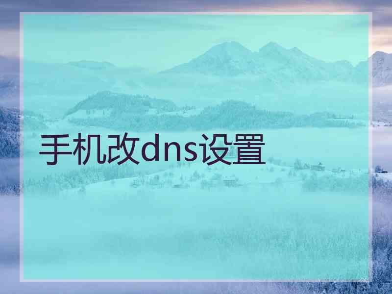 手机改dns设置