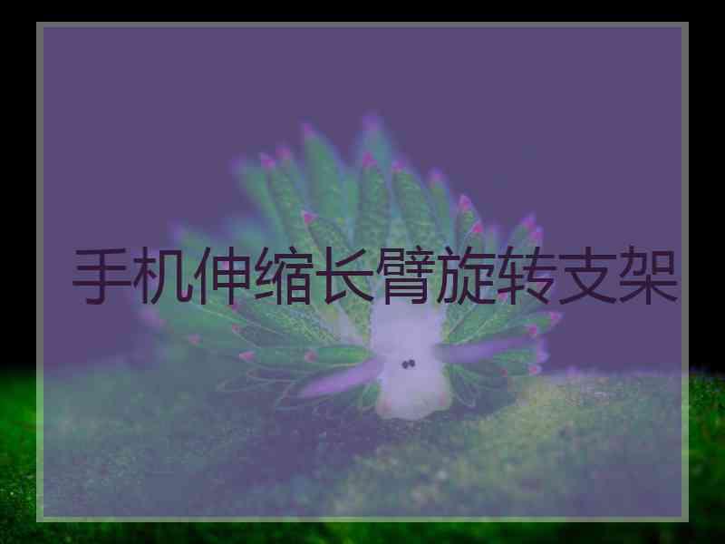 手机伸缩长臂旋转支架