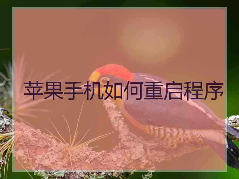 苹果手机如何重启程序