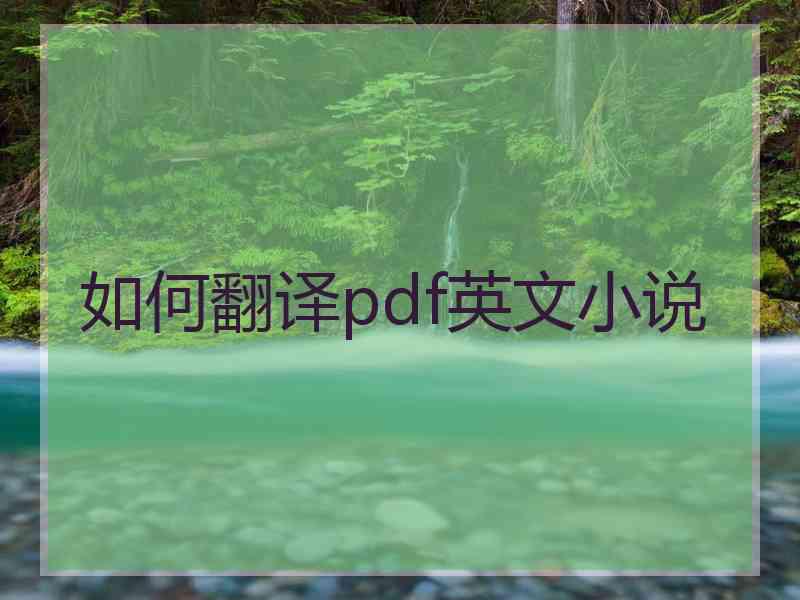 如何翻译pdf英文小说