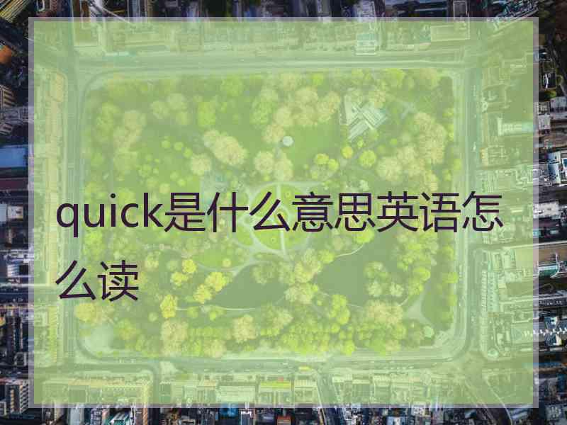 quick是什么意思英语怎么读