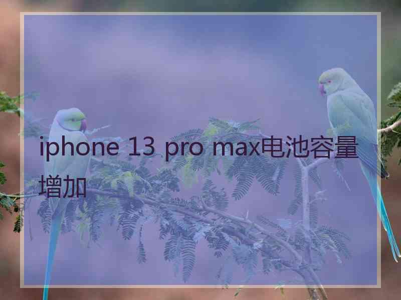 iphone 13 pro max电池容量增加