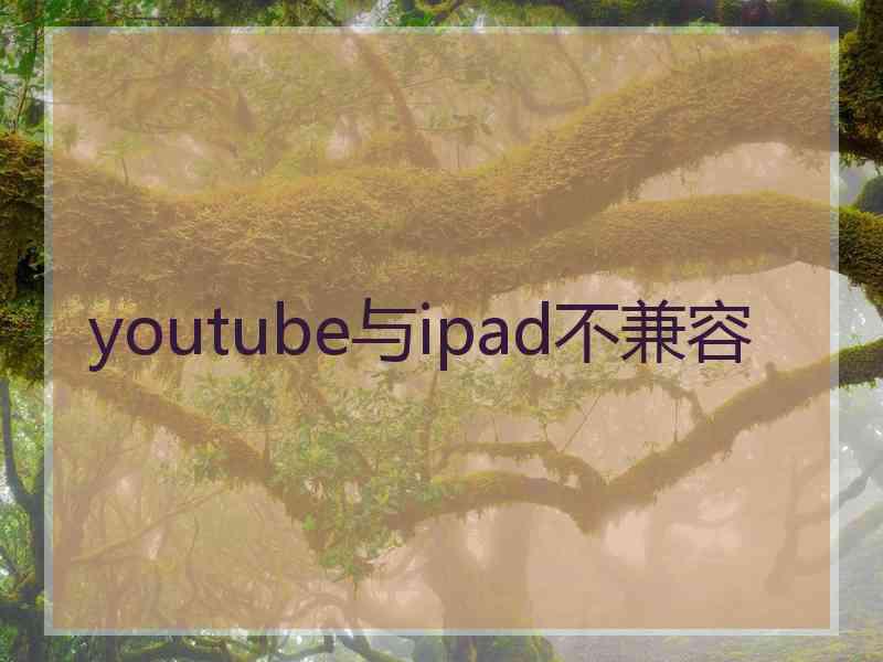 youtube与ipad不兼容