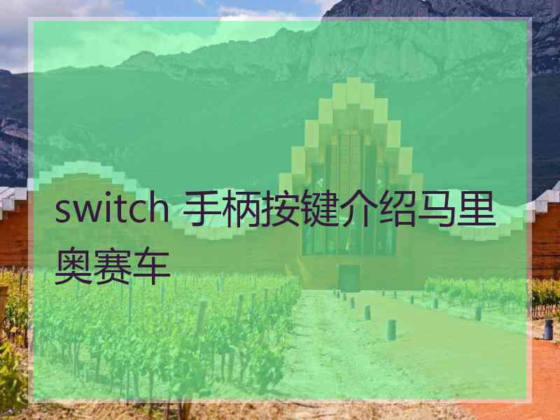 switch 手柄按键介绍马里奥赛车