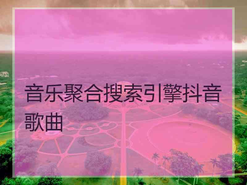 音乐聚合搜索引擎抖音歌曲