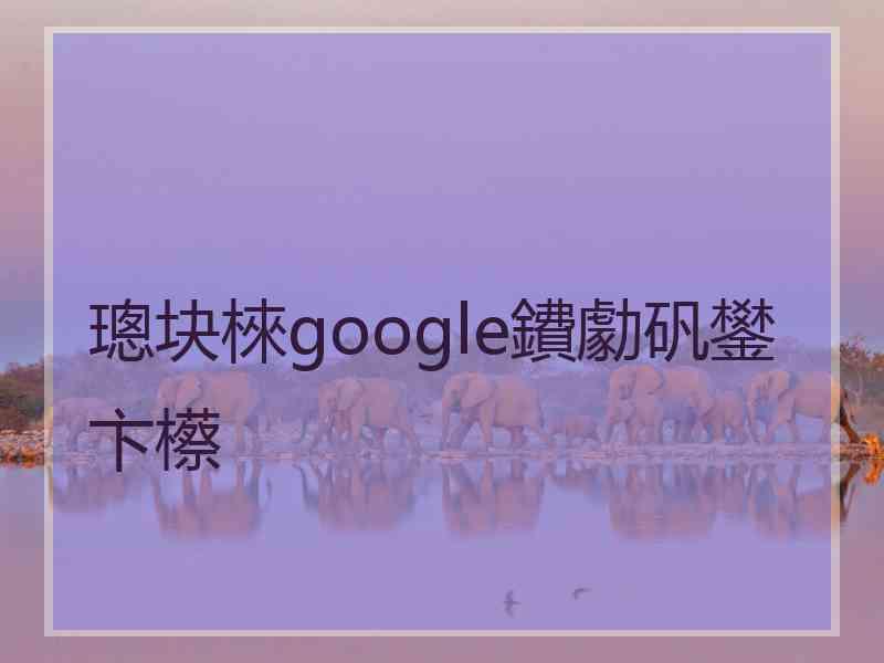 璁块棶google鐨勮矾鐢卞櫒