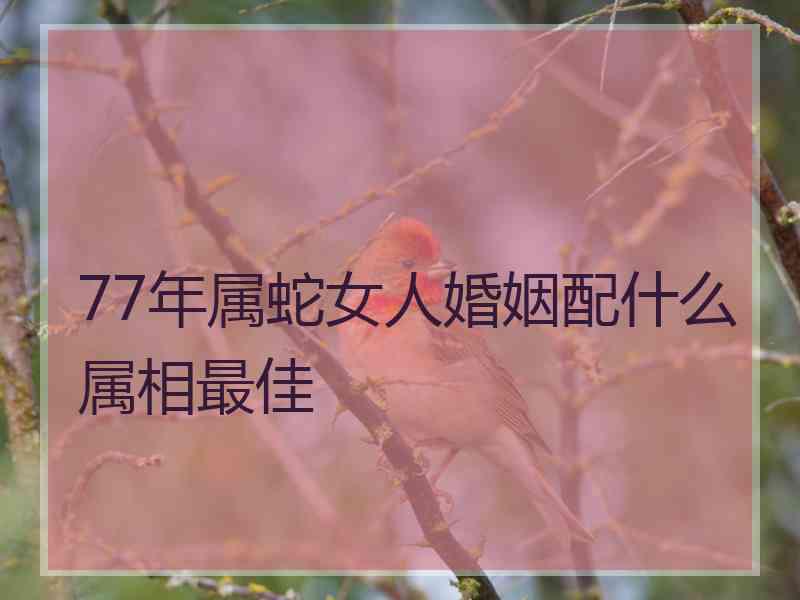 77年属蛇女人婚姻配什么属相最佳