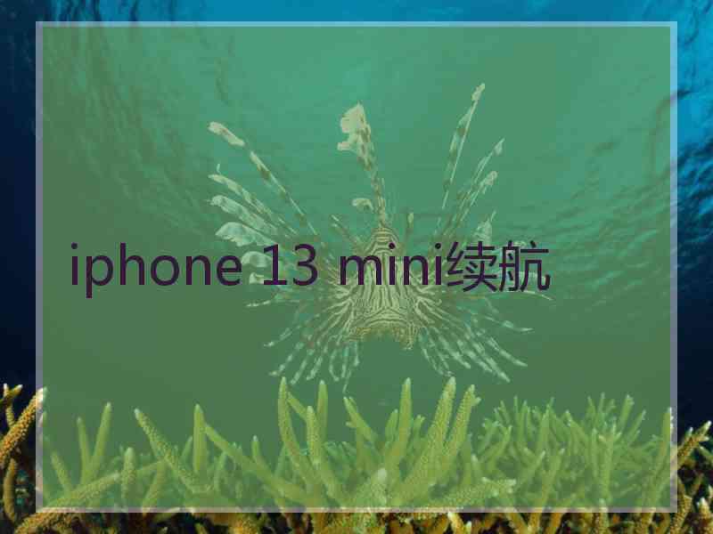 iphone 13 mini续航