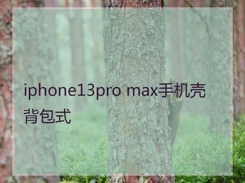 iphone13pro max手机壳背包式