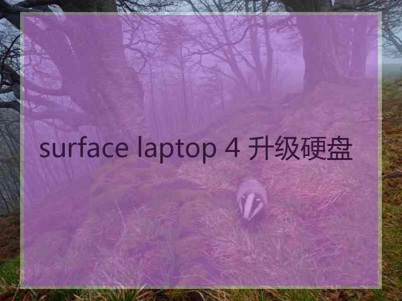 surface laptop 4 升级硬盘