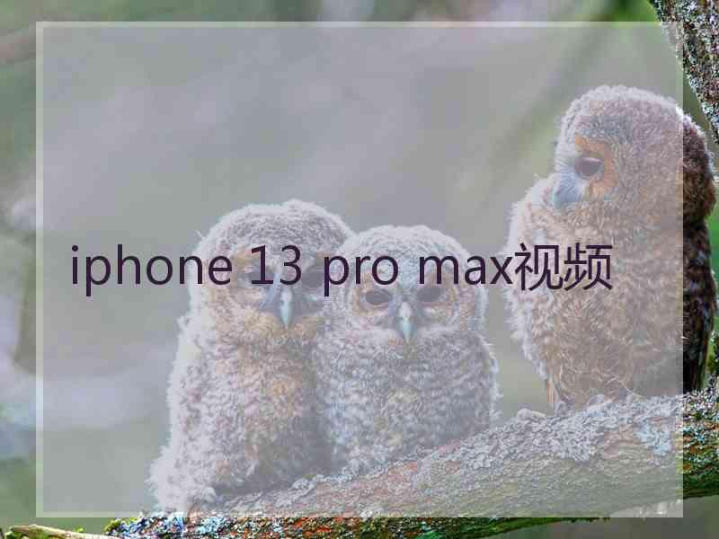 iphone 13 pro max视频