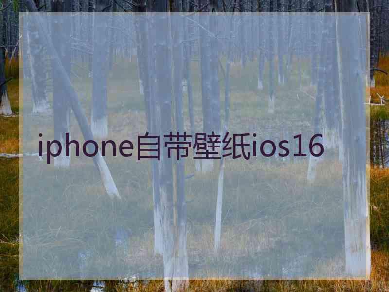 iphone自带壁纸ios16