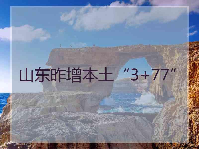 山东昨增本土“3+77”