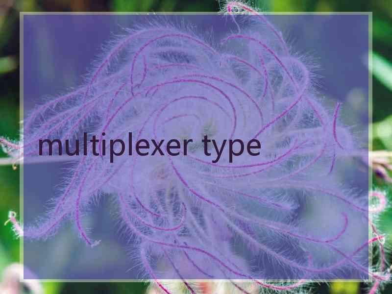 multiplexer type