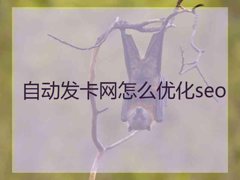 自动发卡网怎么优化seo