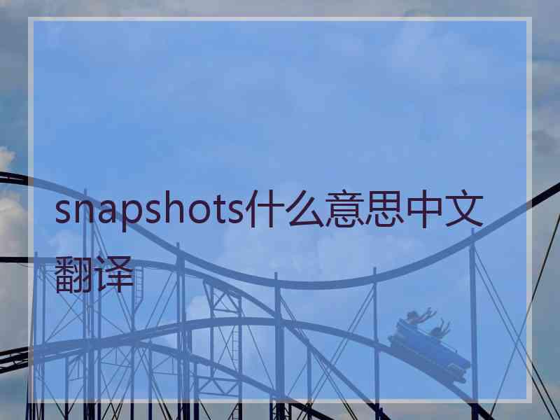 snapshots什么意思中文翻译