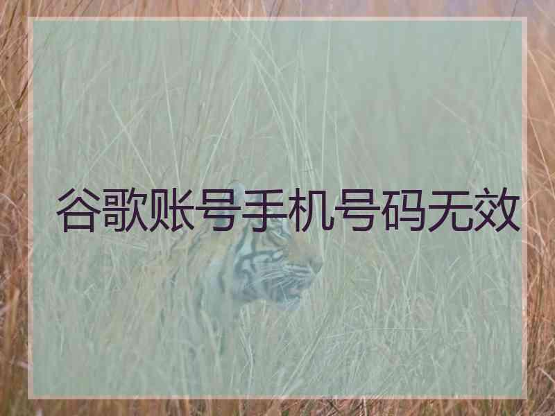 谷歌账号手机号码无效