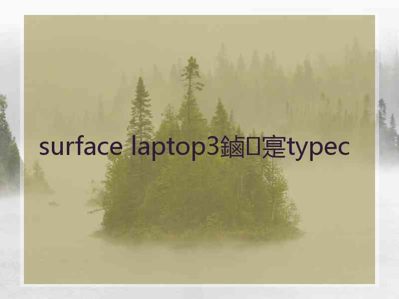 surface laptop3鏀寔typec