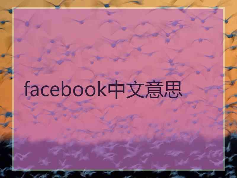 facebook中文意思