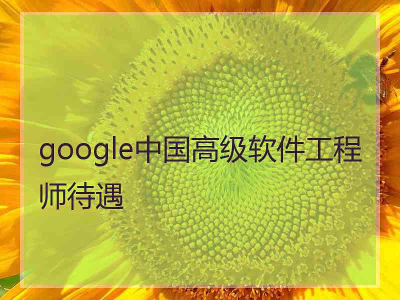 google中国高级软件工程师待遇