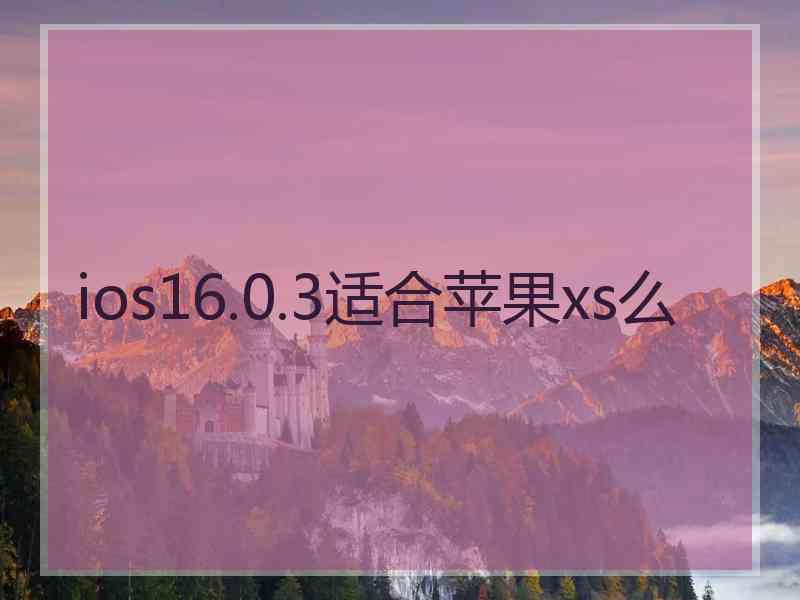 ios16.0.3适合苹果xs么