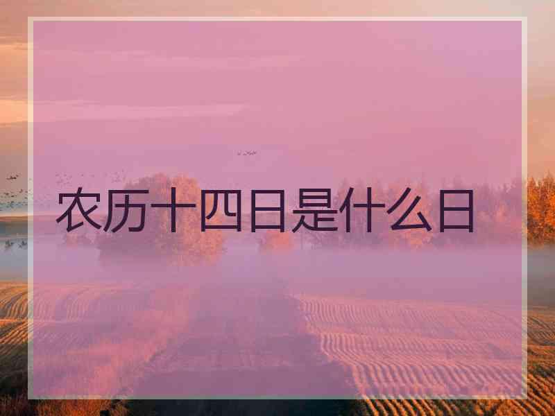 农历十四日是什么日