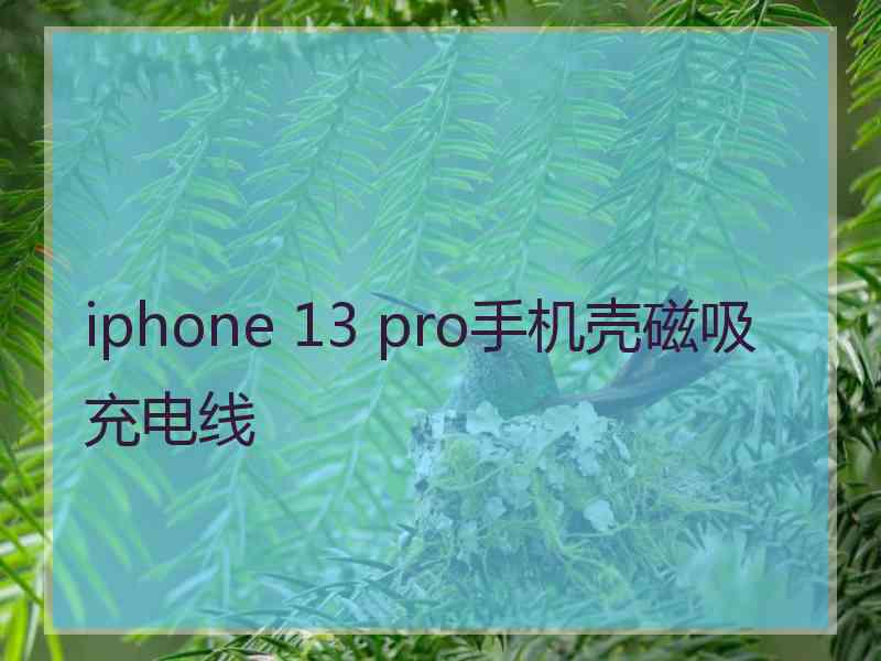 iphone 13 pro手机壳磁吸充电线