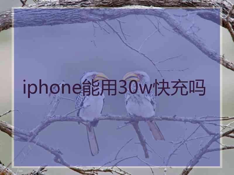 iphone能用30w快充吗