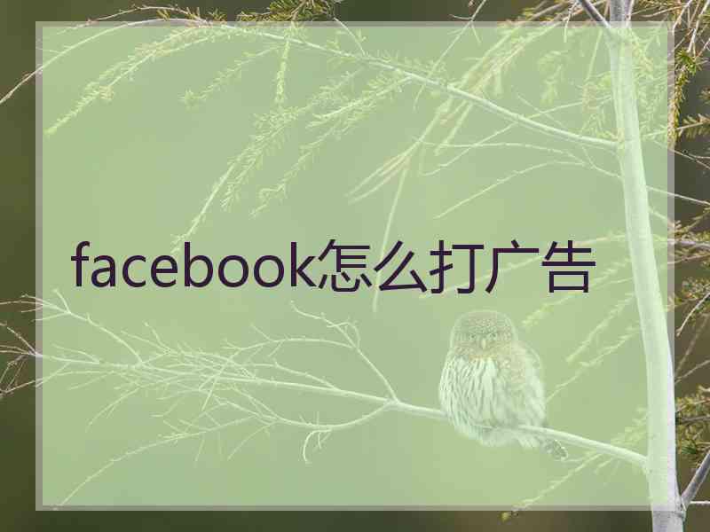 facebook怎么打广告