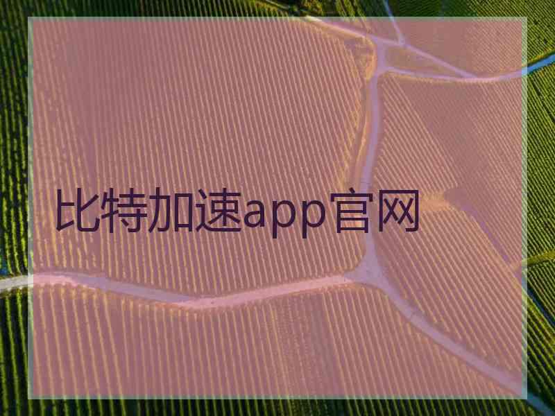 比特加速app官网