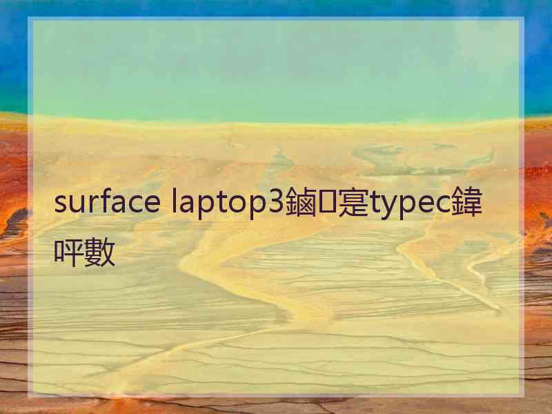 surface laptop3鏀寔typec鍏呯數