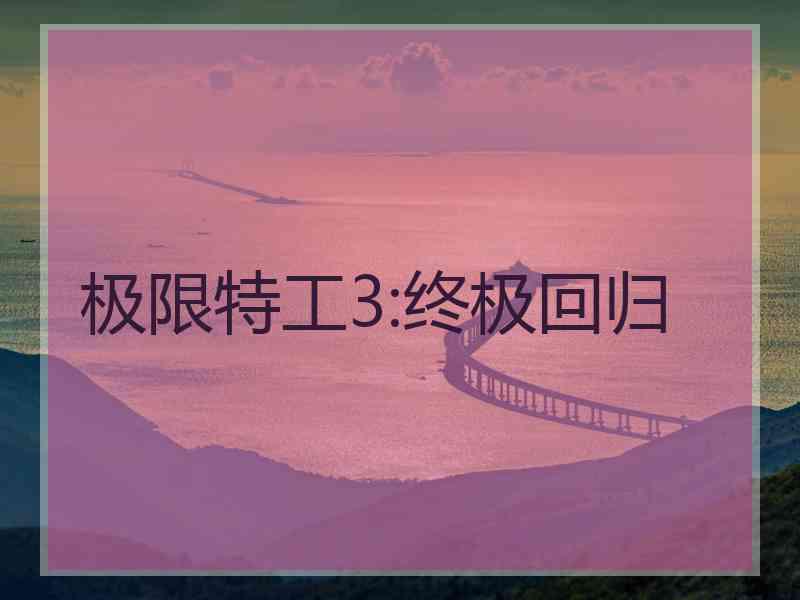 极限特工3:终极回归