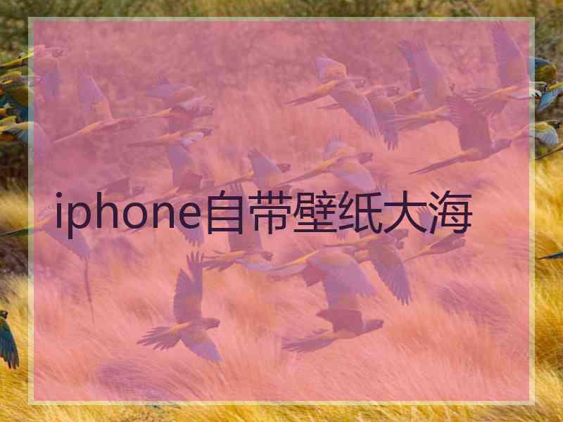 iphone自带壁纸大海