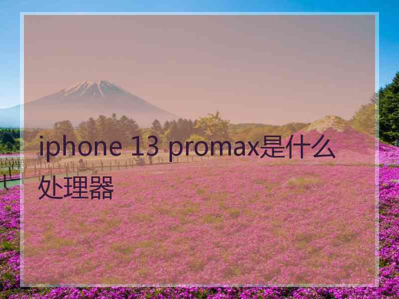 iphone 13 promax是什么处理器