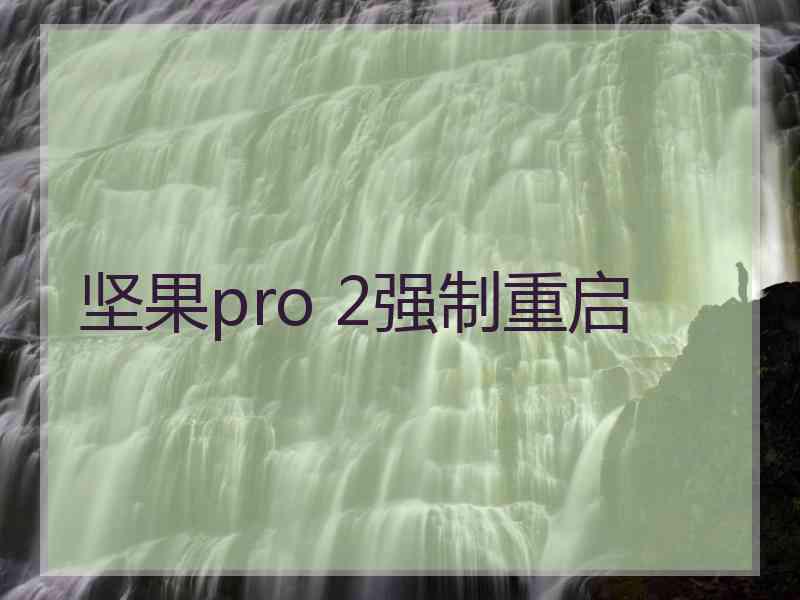 坚果pro 2强制重启