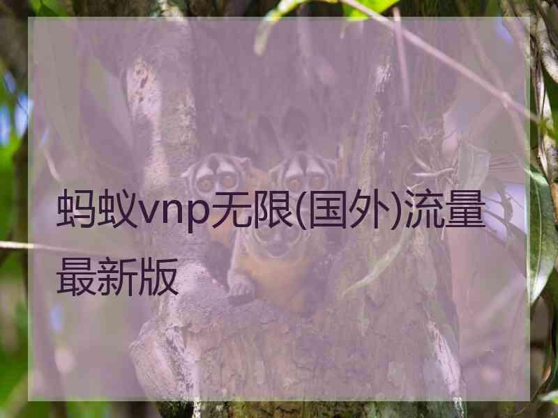 蚂蚁vnp无限(国外)流量最新版