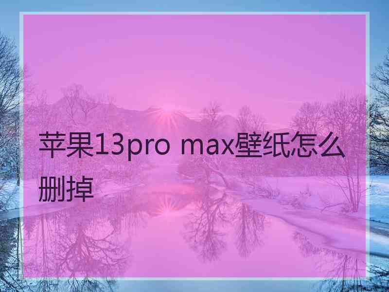 苹果13pro max壁纸怎么删掉