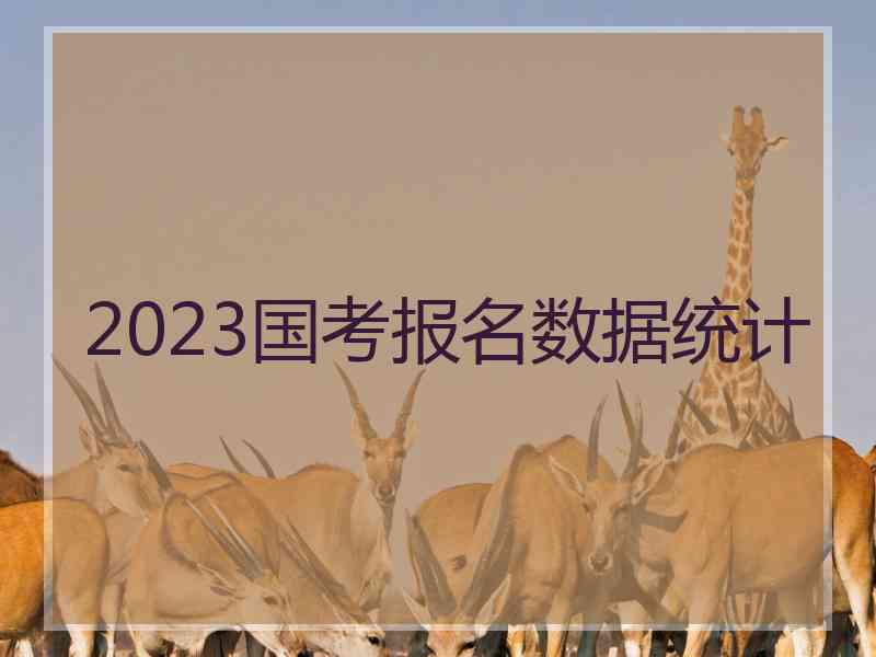 2023国考报名数据统计