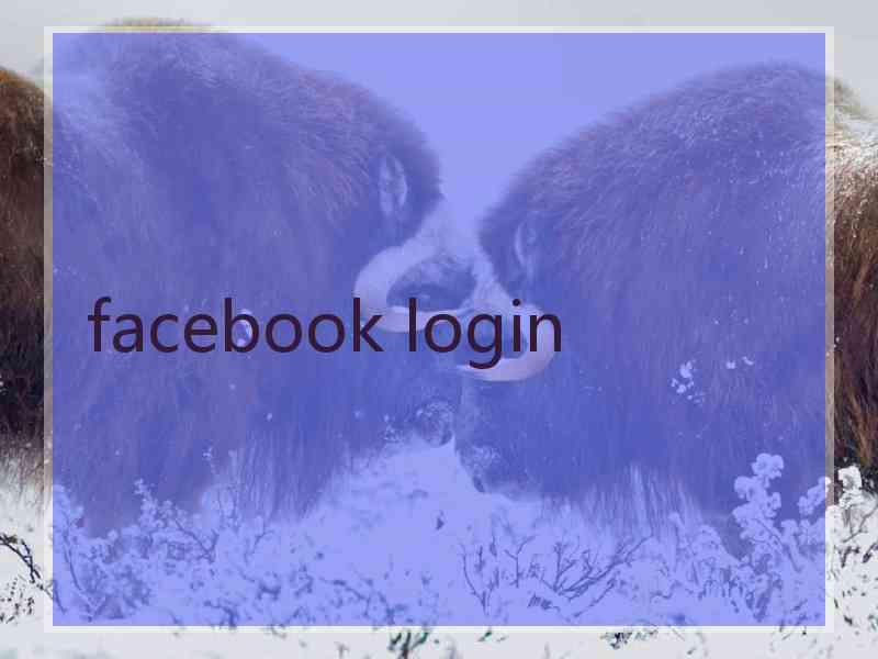 facebook login