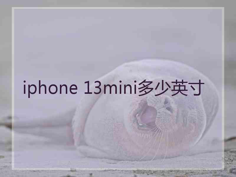 iphone 13mini多少英寸