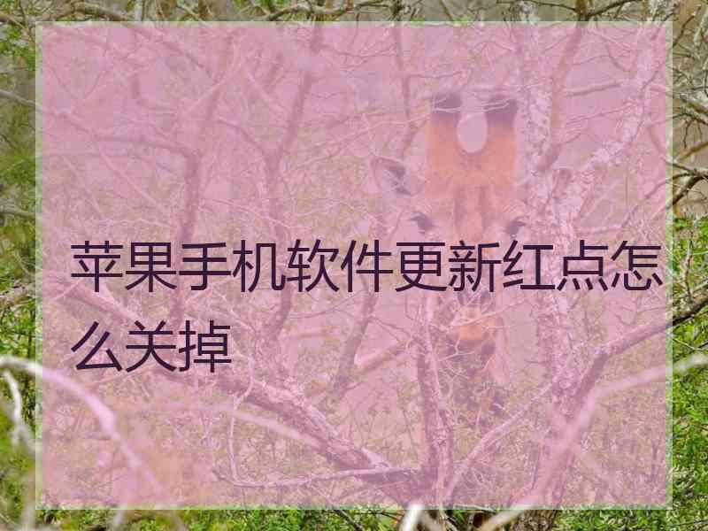 苹果手机软件更新红点怎么关掉