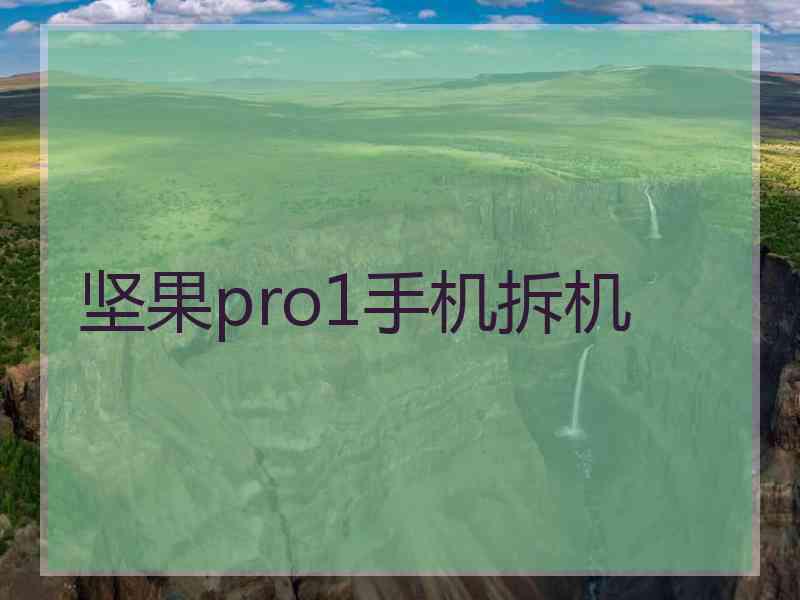 坚果pro1手机拆机