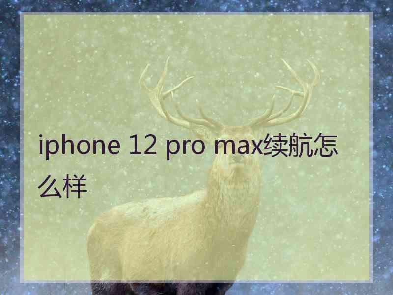 iphone 12 pro max续航怎么样