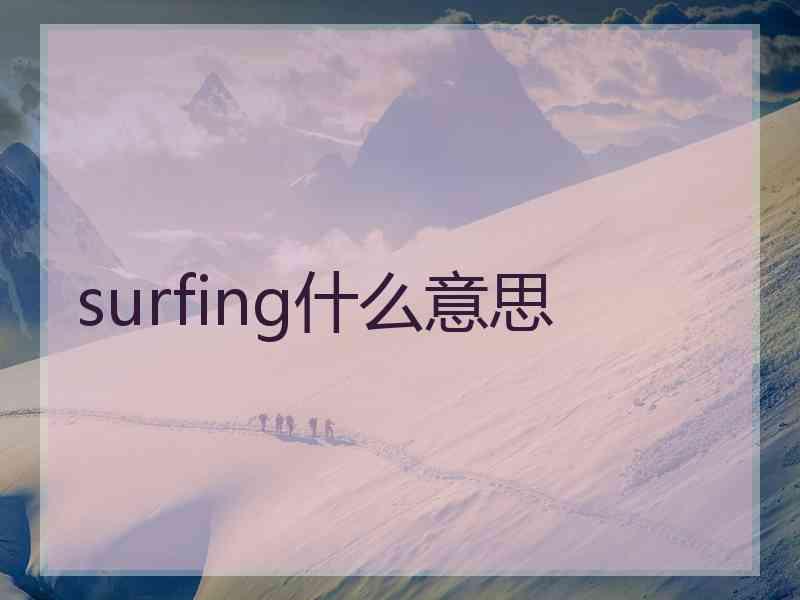 surfing什么意思