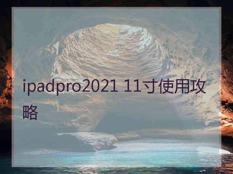 ipadpro2021 11寸使用攻略