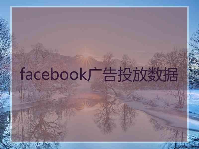 facebook广告投放数据