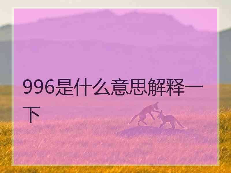 996是什么意思解释一下