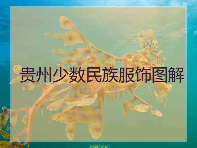 贵州少数民族服饰图解