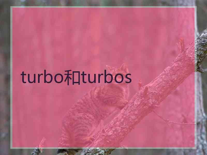 turbo和turbos