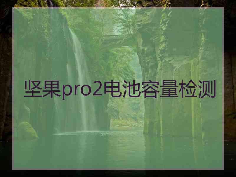 坚果pro2电池容量检测